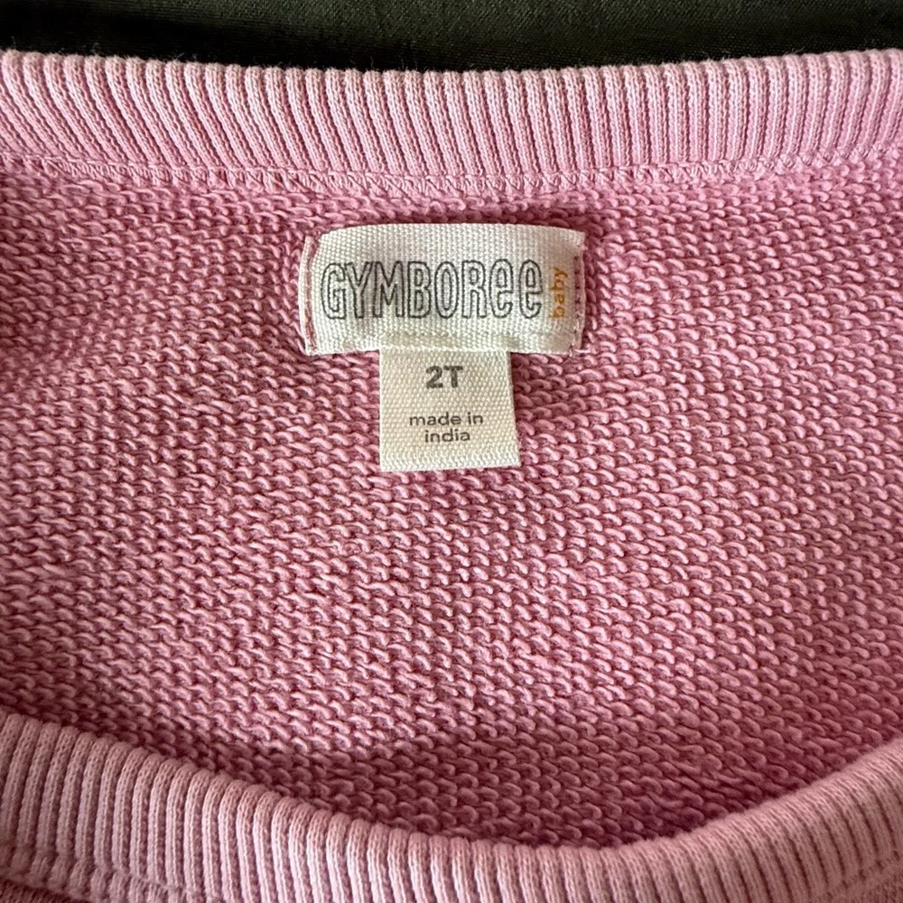 Gymboree Pink Wave Graphic Sweatshirt | Toddler Girls 2T | 100% Cotton